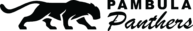 Pambula Panthers Football Team Logo